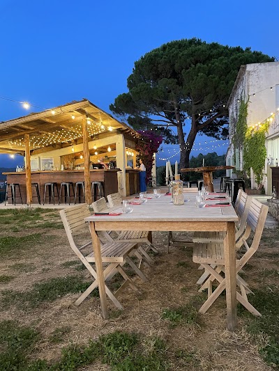 Domaine Camellu