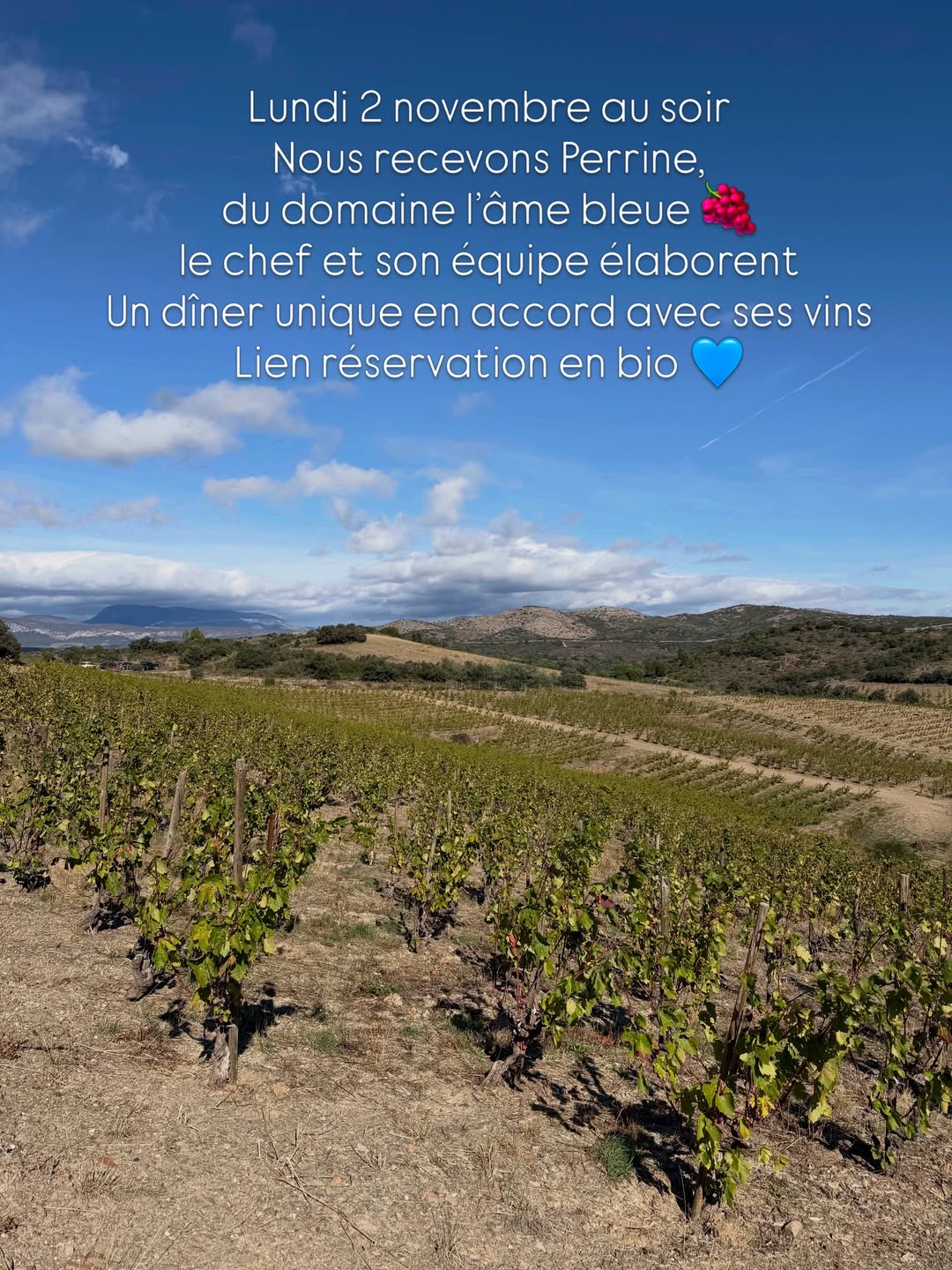 Dîner Vigneron avec Perrine