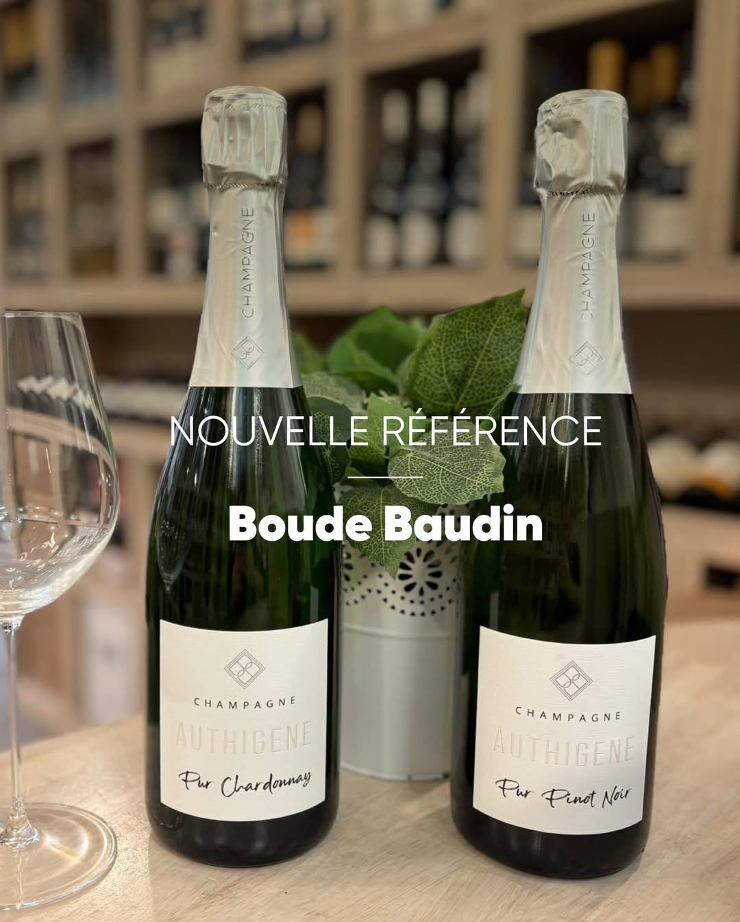 Dégustation Champagnes Boude Baudin