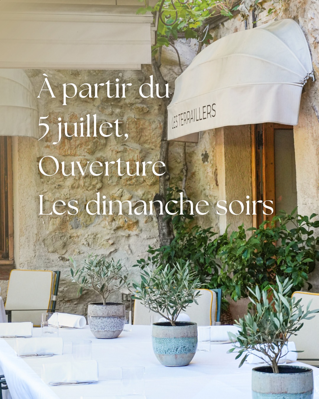Dîner Sous Les Vignes