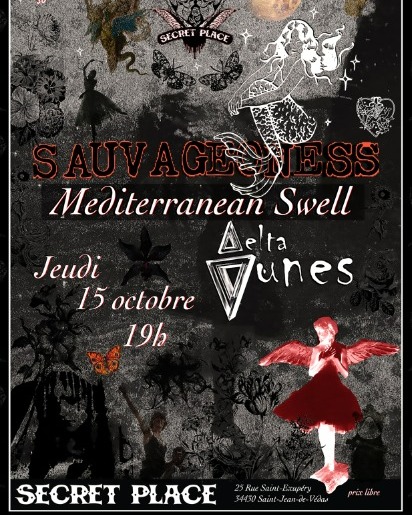 S A U V A G E O N E S S (Lausanne - CH)