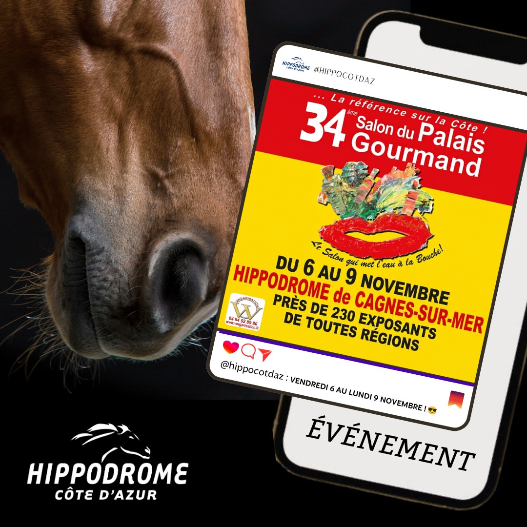 Festival Gastronomique Palais Gourmand