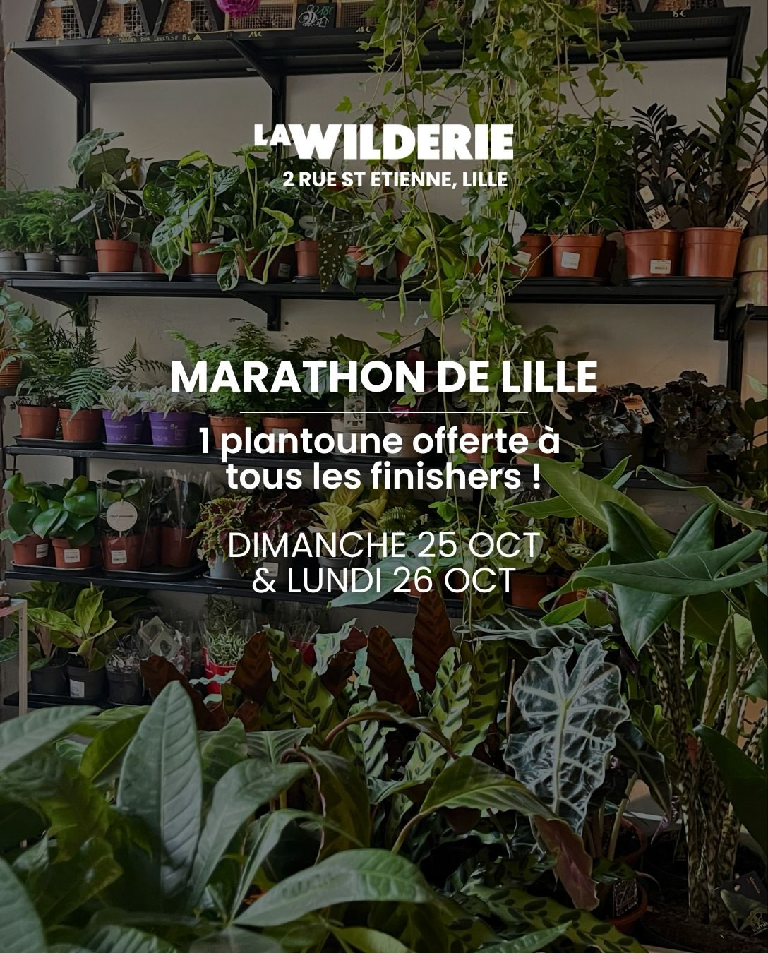 đđ»ââ 42 km dans les jambes, une plantoune sous le bras đ±