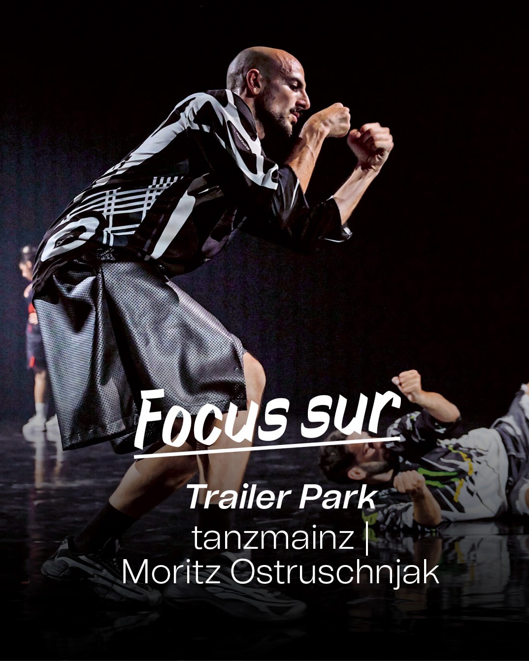 Spectacle Trailer Park