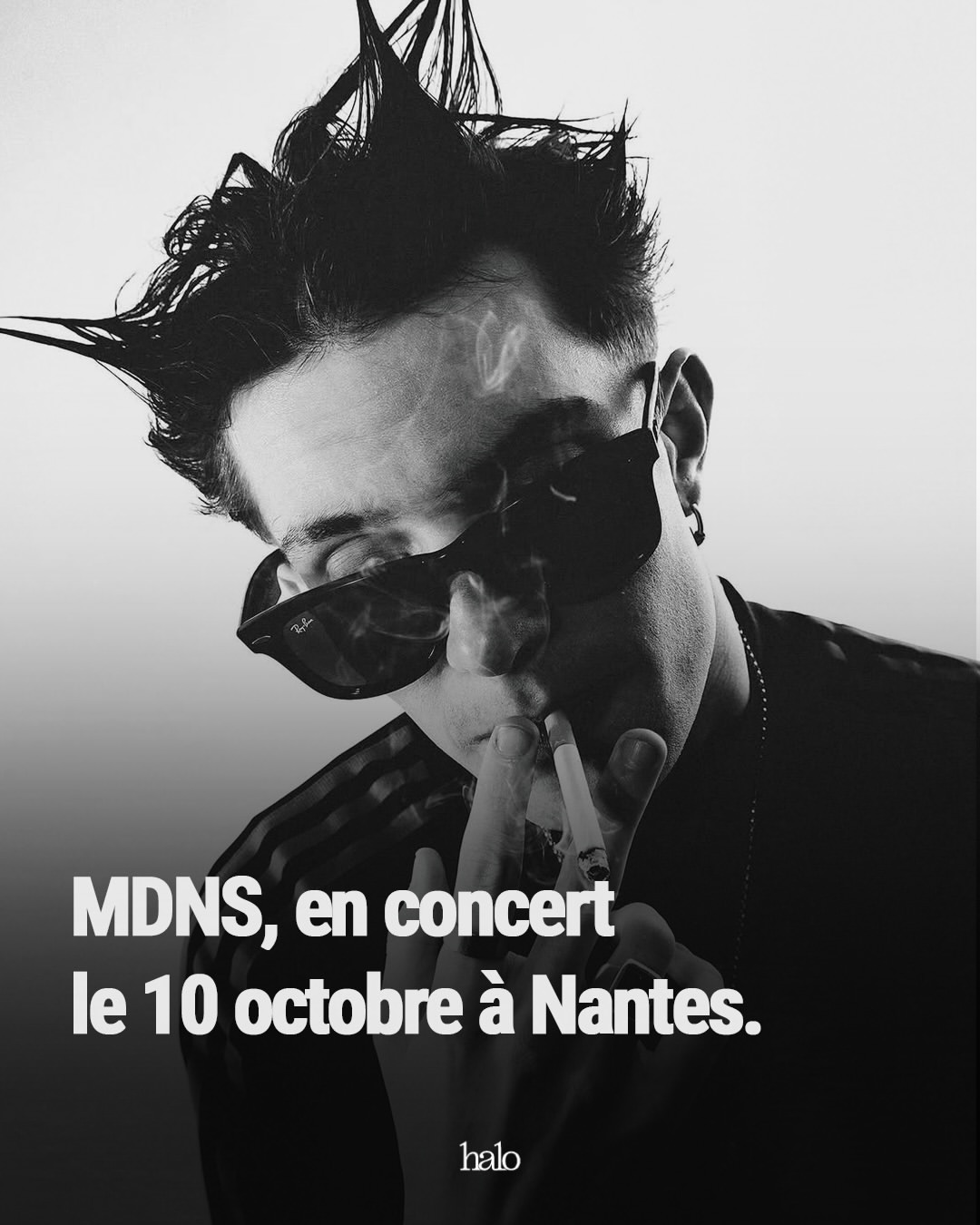 Concert Live avec mdns.exe @ Le Ferrailleur