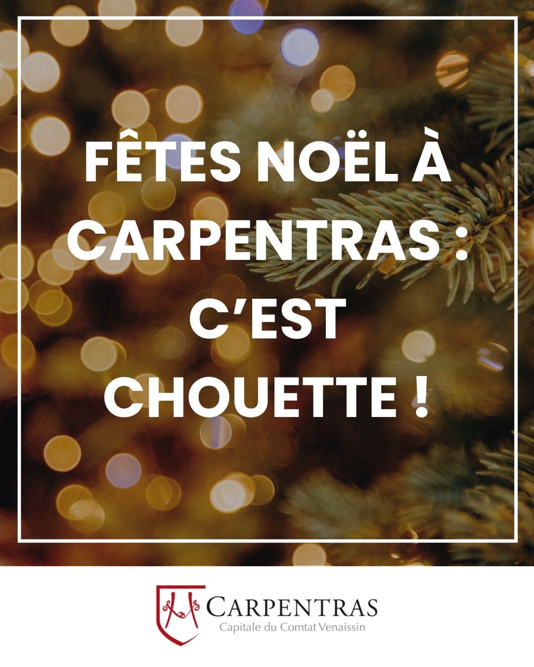 đ FĂȘtes de NoĂ«l Ă Carpentras : câest chouette ! đ