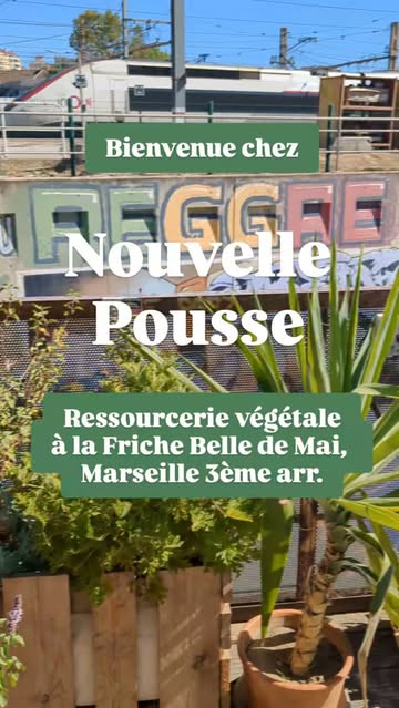 Bienvenue chez Nouvelle Pousse ! 🌱