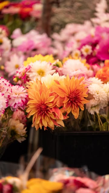 Marché aux Fleurs