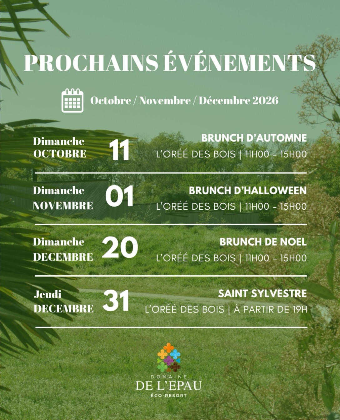 👉 Dimanche : Brunch de Noël