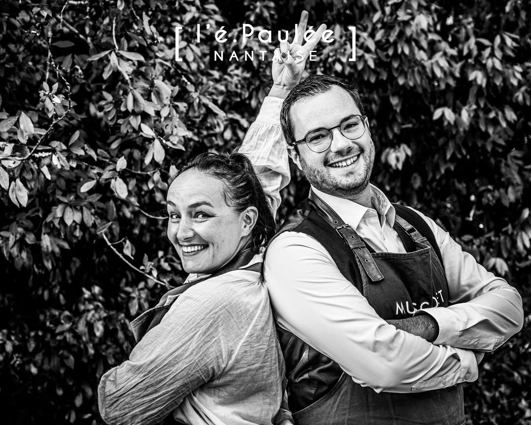 Dégustation Vins et Cuisine