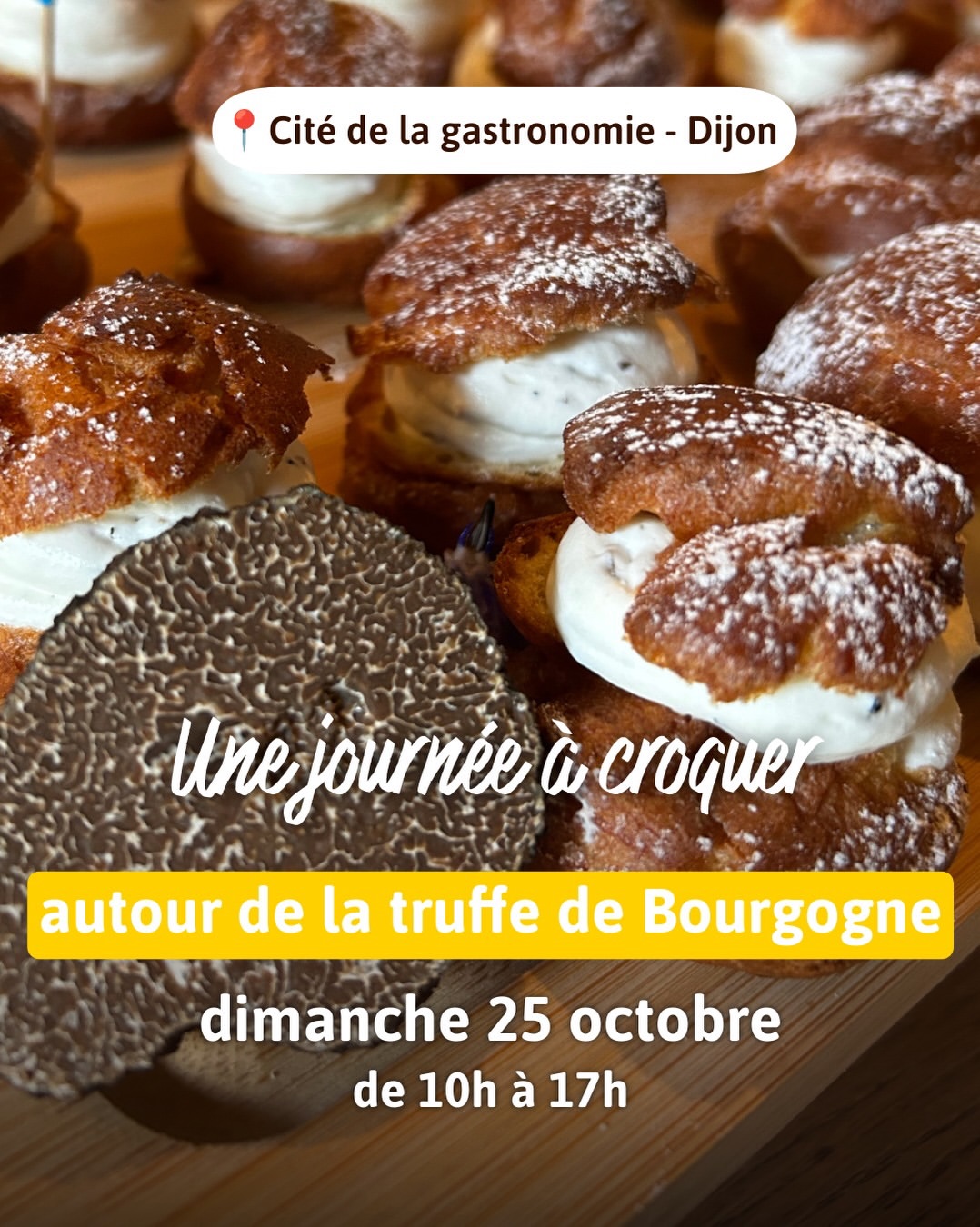 📸 Exposition photos « La truffe en images : de la terre à l’assiette ». Exposition visible à partir