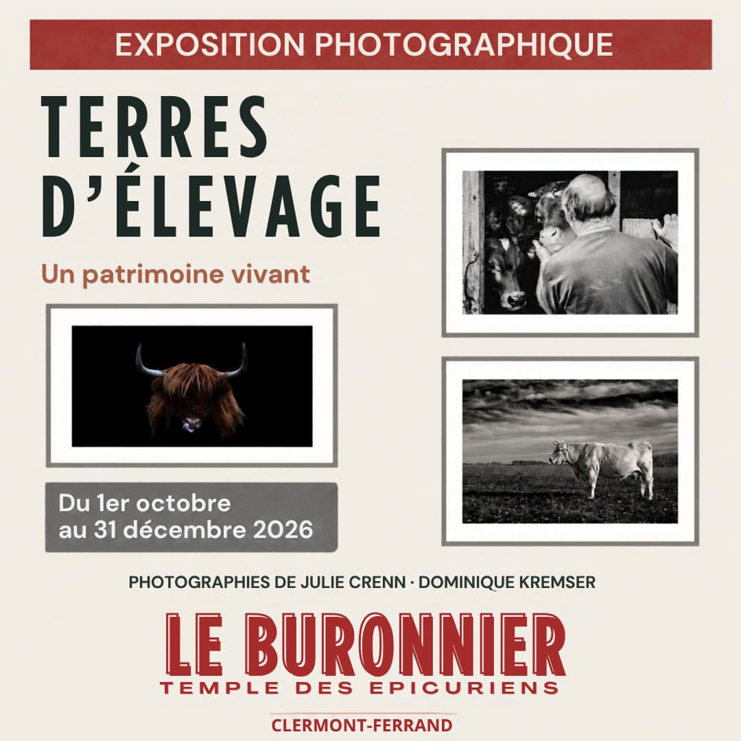 TERRES D’ÉLEVAGE — Les vaches, un patrimoine