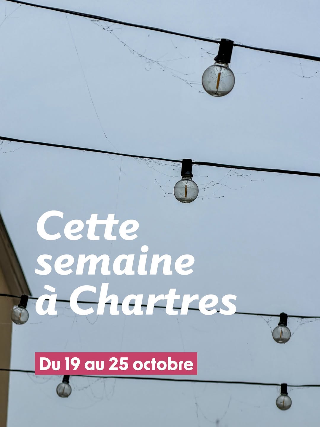 ✍ • Dédicace jeunesse : Agnès Ernoult • Chartres