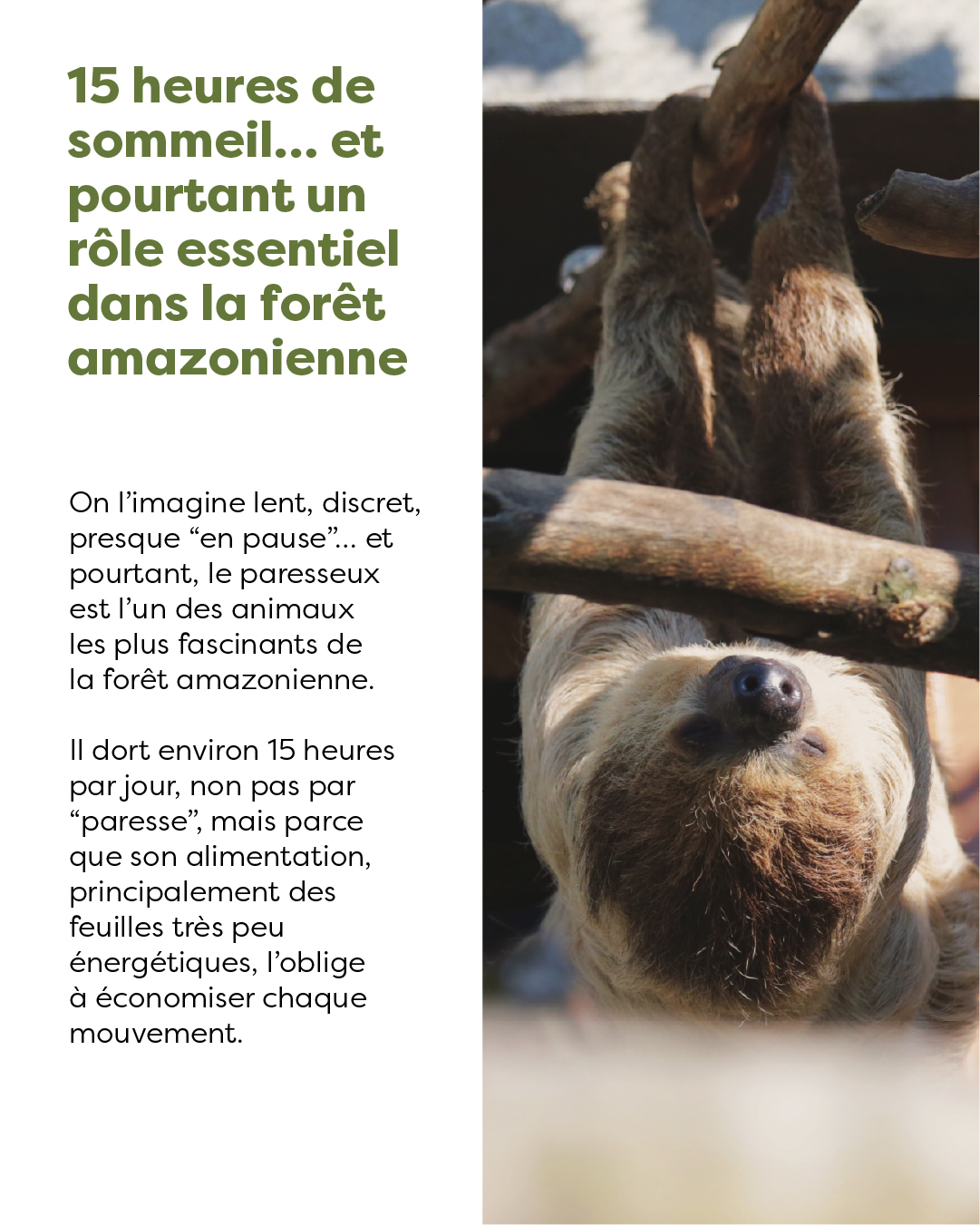 Visite Entre Mystère et Nature