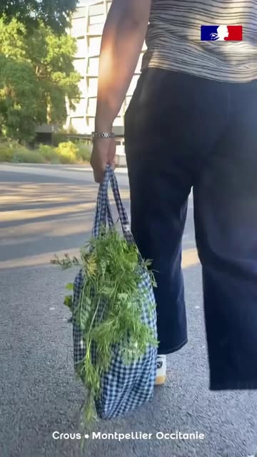 Vente de Paniers de Légumes Bio