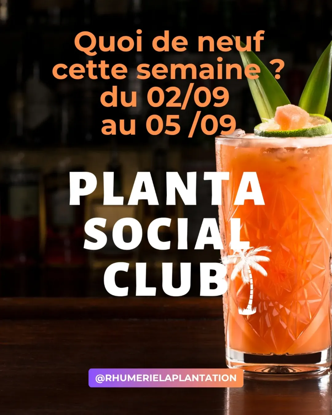 🌴 Rentrée À la Planta ! 🌴